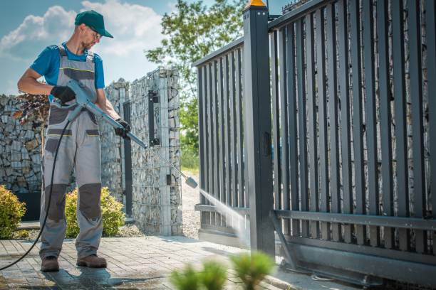 Best Rust Removal  in Port Vue, PA